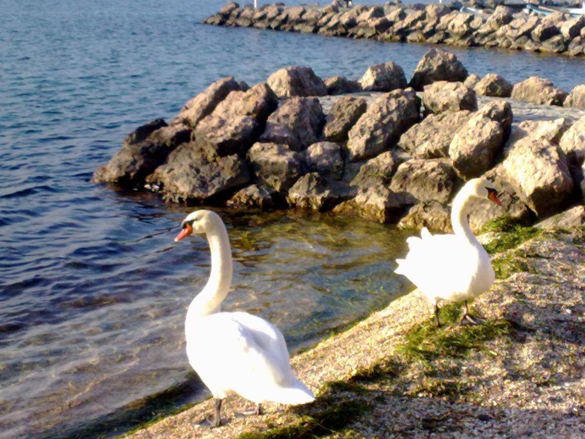 Residenza Al Sogno - On Lake Garda كافايون فيرونيسي المظهر الخارجي الصورة